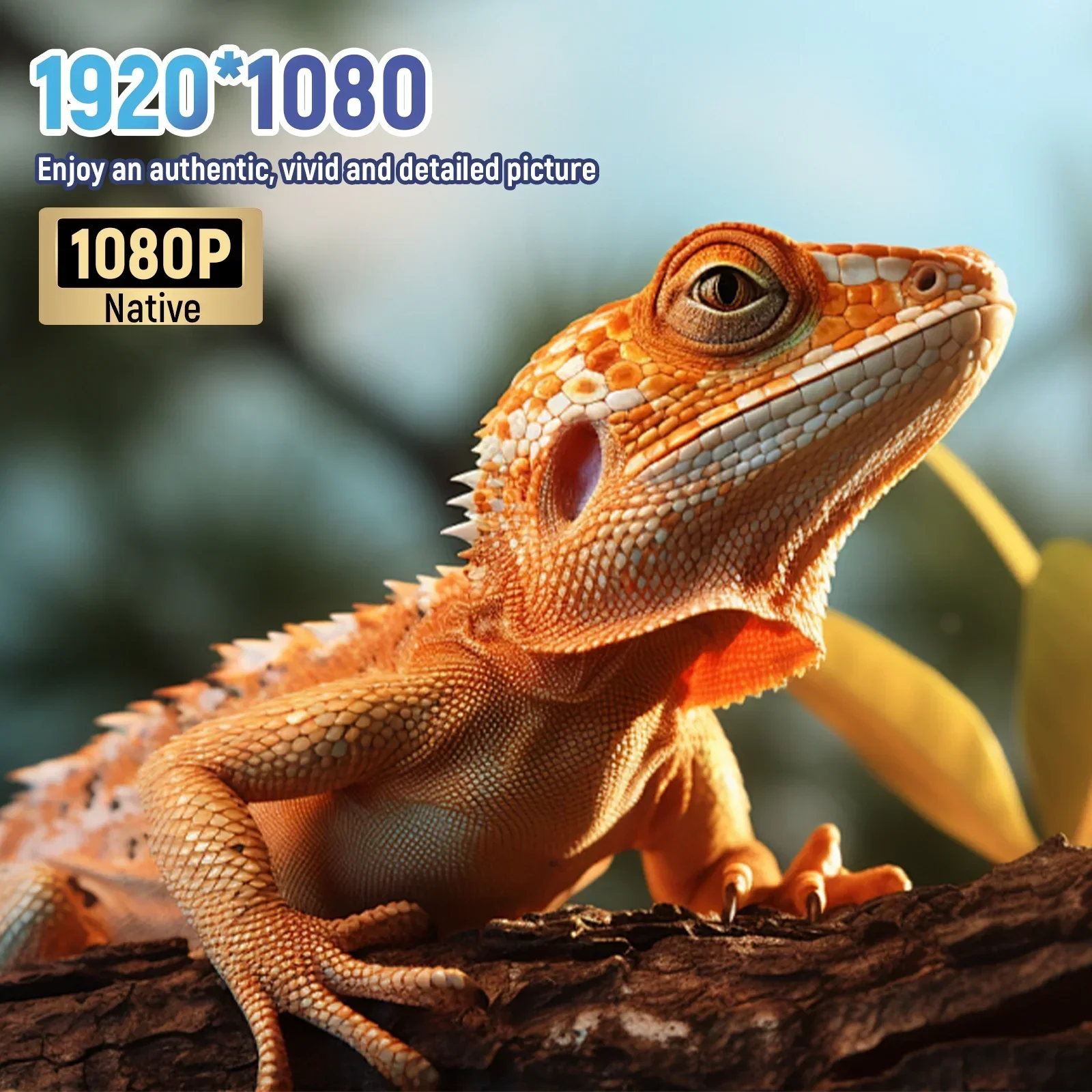 Sd5c7e102c2444d91a336af0c15a80644z.webp